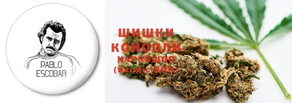 PSILOCYBIN Верея