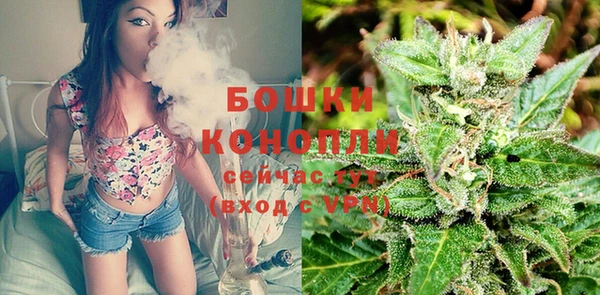 PSILOCYBIN Верея